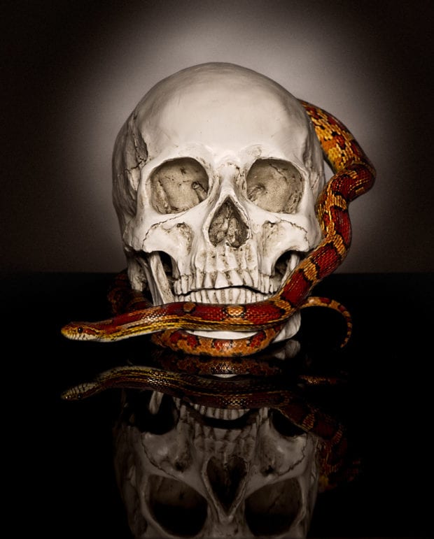 skull 2